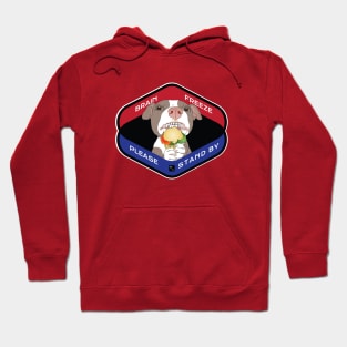 Brain Freeze Pittie Hoodie